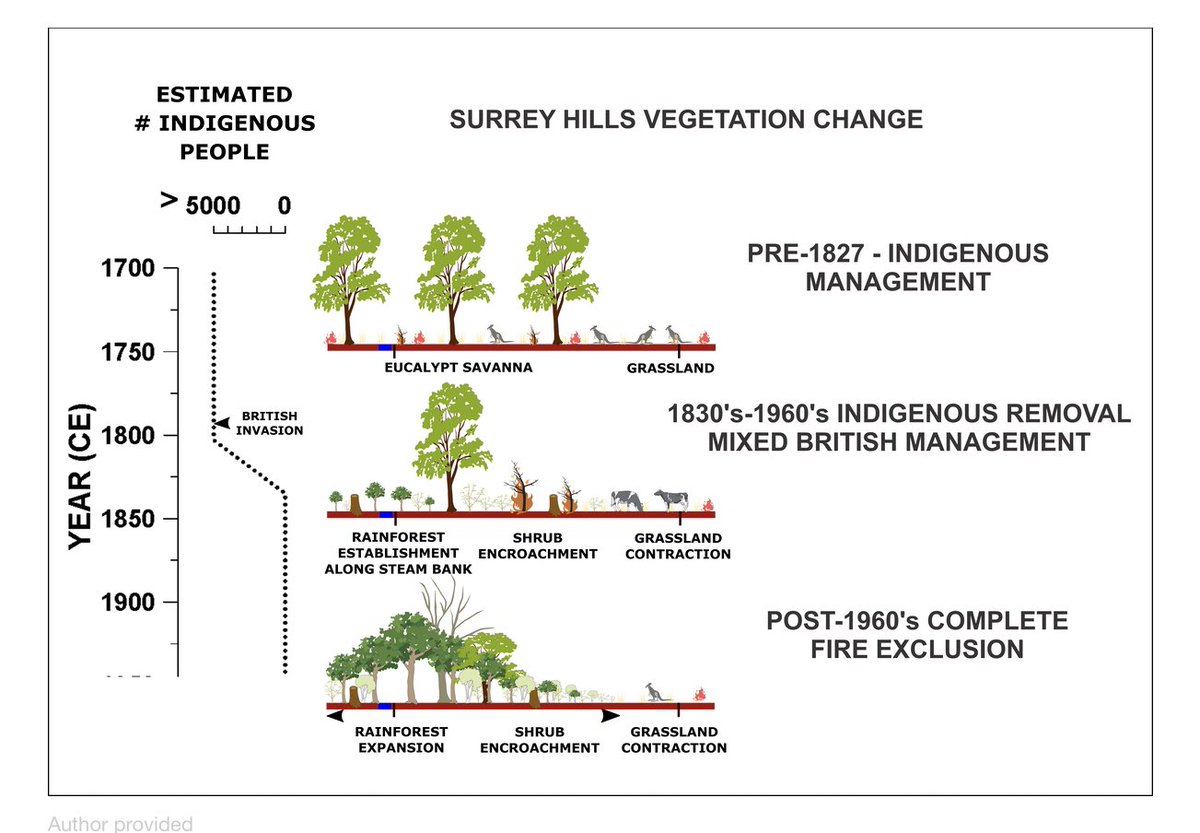 VicForestsCEO (@ceoforests) on Twitter photo 