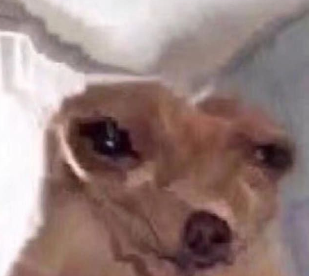 i never tweet my feelings but i have avoided driving my car for weeks because a spider lives in my car