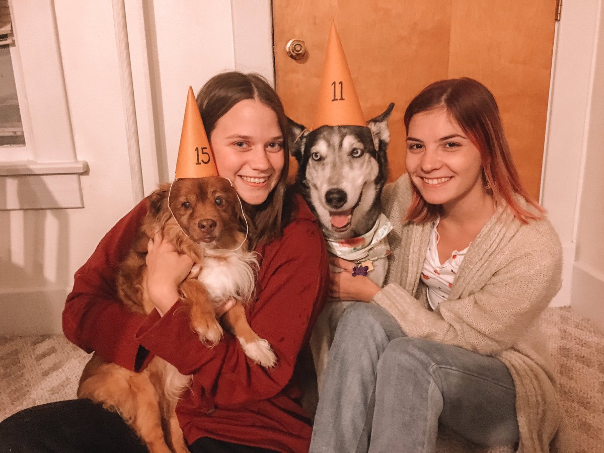 avparker6's tweet photo. The oldest men in our lives recently turned 77 and 105 so of course we had to throw them a combined party #happywoofday https://t.co/FnkbD2JoUI