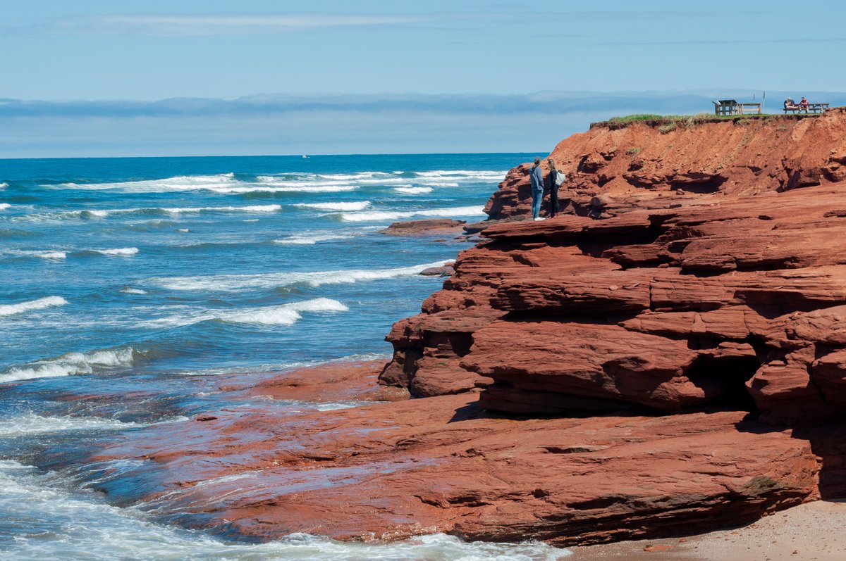 jgfearn's tweet photo. Hiking along Cavendish Beach, PEI and you find a vibrant contrast of colour at Oceanview Lookoff.

@tourismpei https://t.co/B09tZsFZyZ