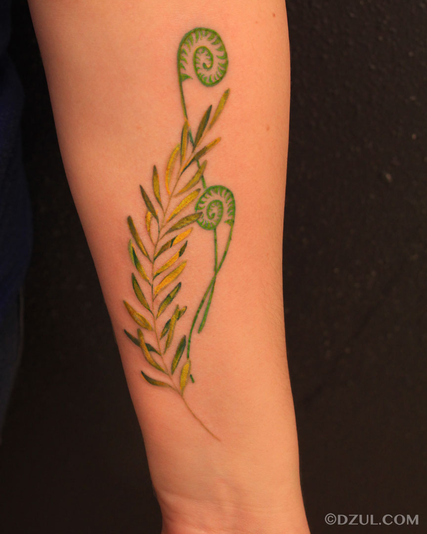 fern, image size:864x1080