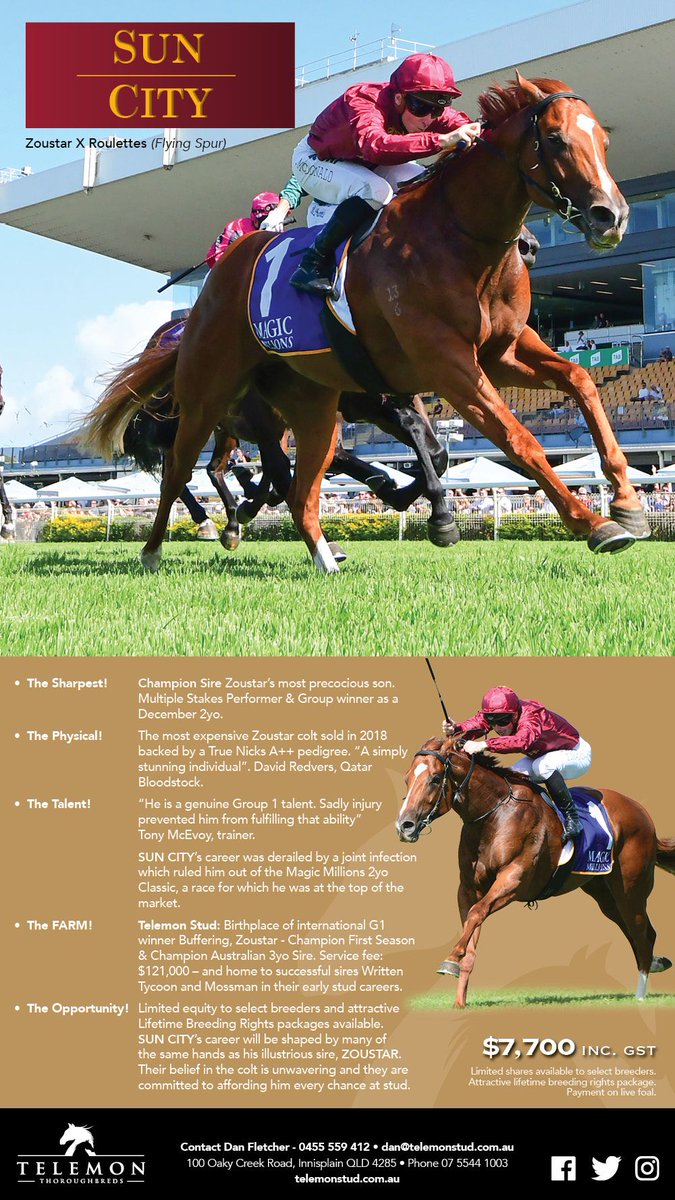 TTRAusNZ's tweet photo. Sun City standing at @TelemonThoroug1 in 2020!

Zoustar x Roulettes

$7700 inc GST https://t.co/CnU4HVihJB