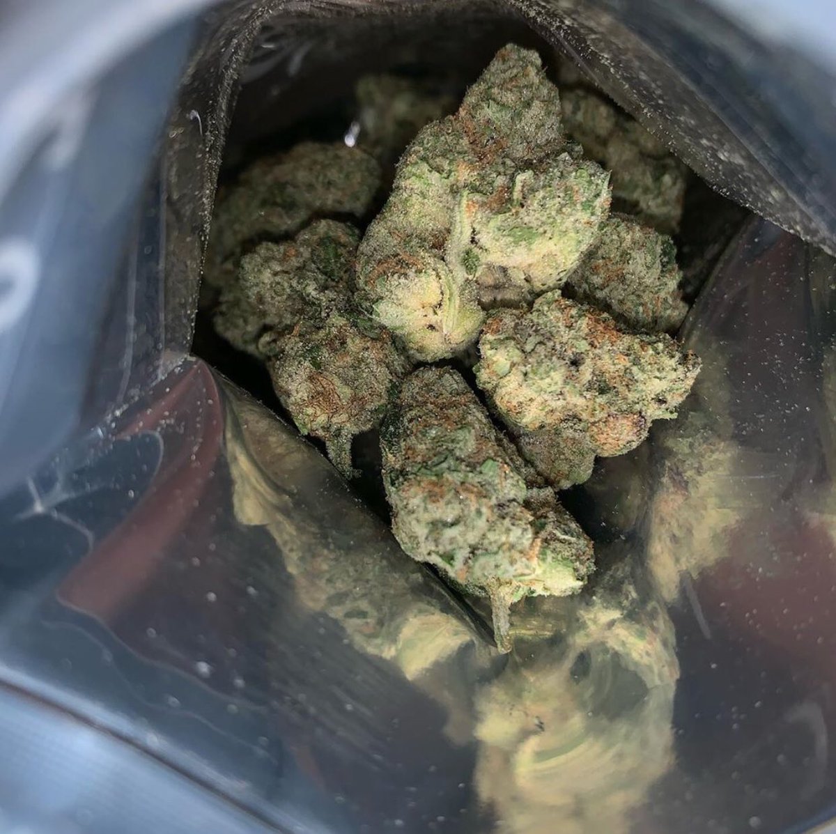 MatsVapes's tweet photo. #germanweed #weedporn #germandank #cbd #cannabis #germanweedboys #cannabiscommunity #life #germanweedgirls #everstoned #legalizeitgermany #weedstagram #hanfrebellen #zndg #germany #family #daily #crew #cannabisgermany #kiffenistliebe #germanstoner #culture #philipgas #Thc #kush https://t.co/Fvxw1d1P8S