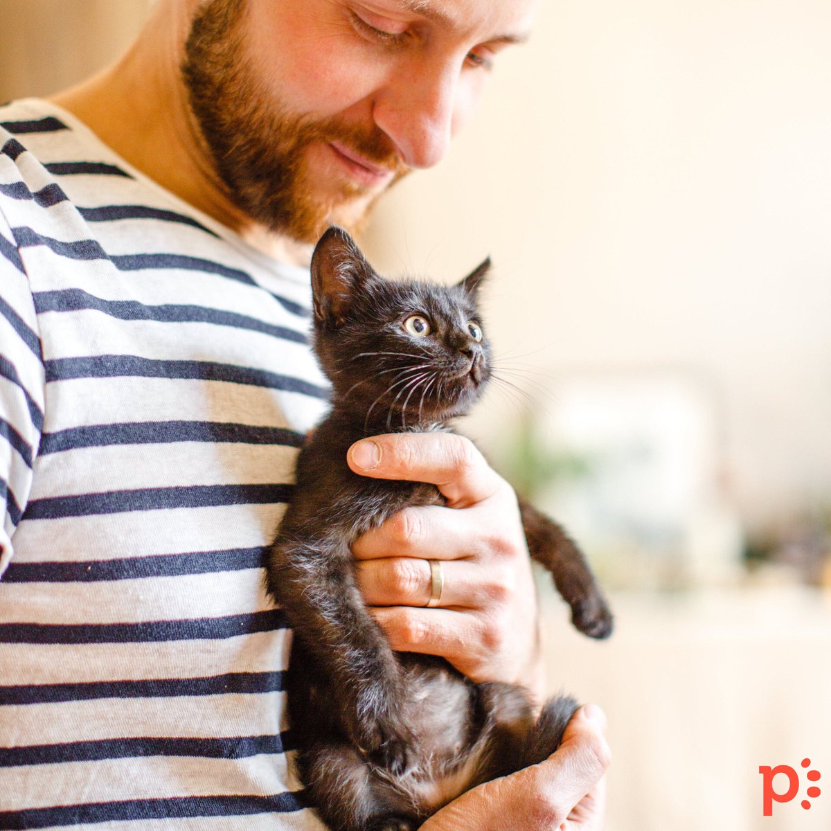 petzeyapp's tweet photo. There's no debate, we love our pets! We want them to be the healthiest and happiest versions of themselves 😄 Use Petzey when you have a health and wellness question regarding your furry, scaly, or prickly companion🐾❤️ #petzey https://t.co/sUe3hMAr8e