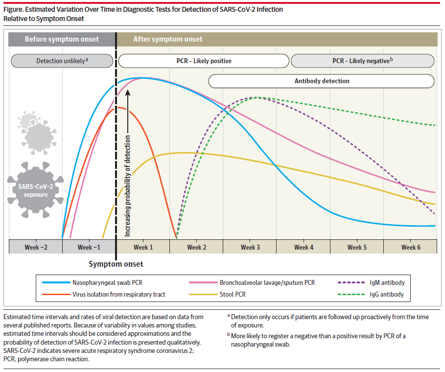 Wor_EXP's tweet photo. DIAGNOSTIC TESTS FOR SARS-CoV-2, JAMA, 2020 https://t.co/ePx8cCgGMu