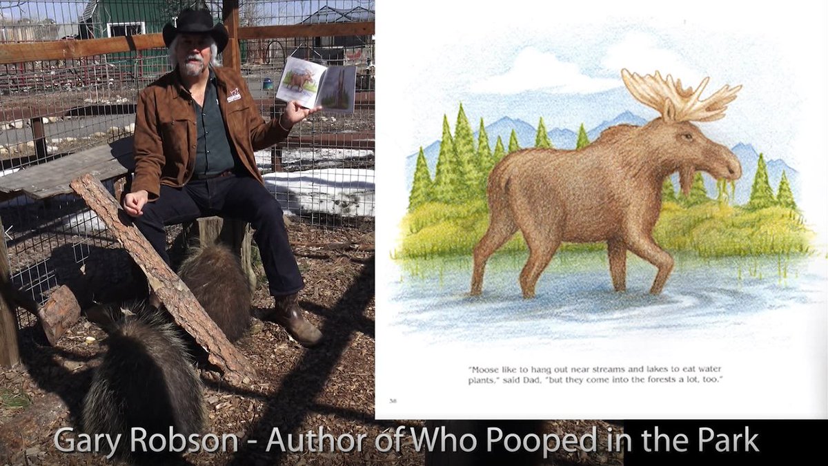 For all of you that are sitting at home thinking, "Gosh, I wish there was a video of some dude reading his children's book about poop to a couple of porcupines," this is your lucky day.
youtube.com/watch?v=gX2y47…