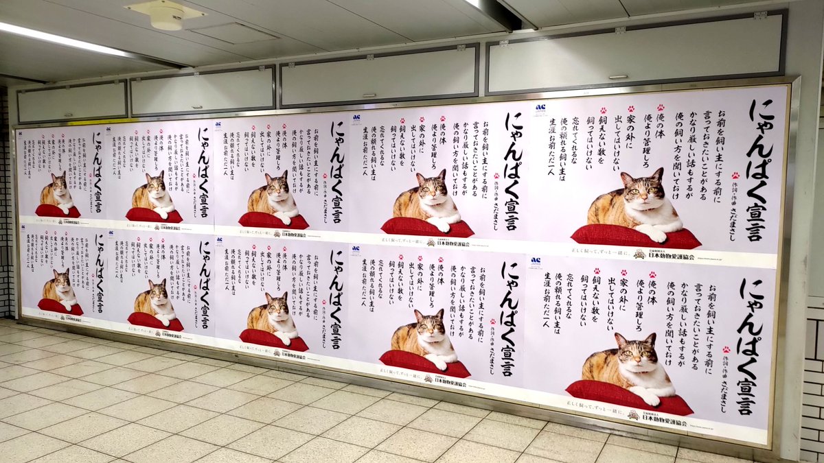日本動物愛護協会 日本動物愛護協会