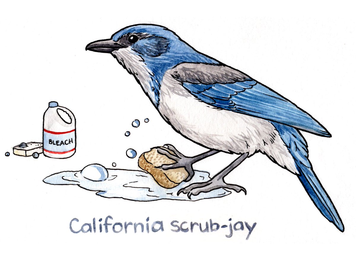 Laurel Mundy tweet media