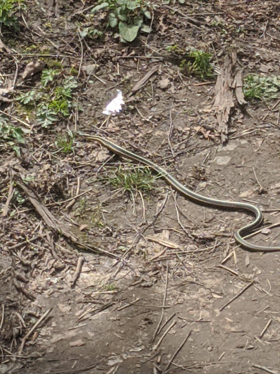 Thomas Stewart tweet media