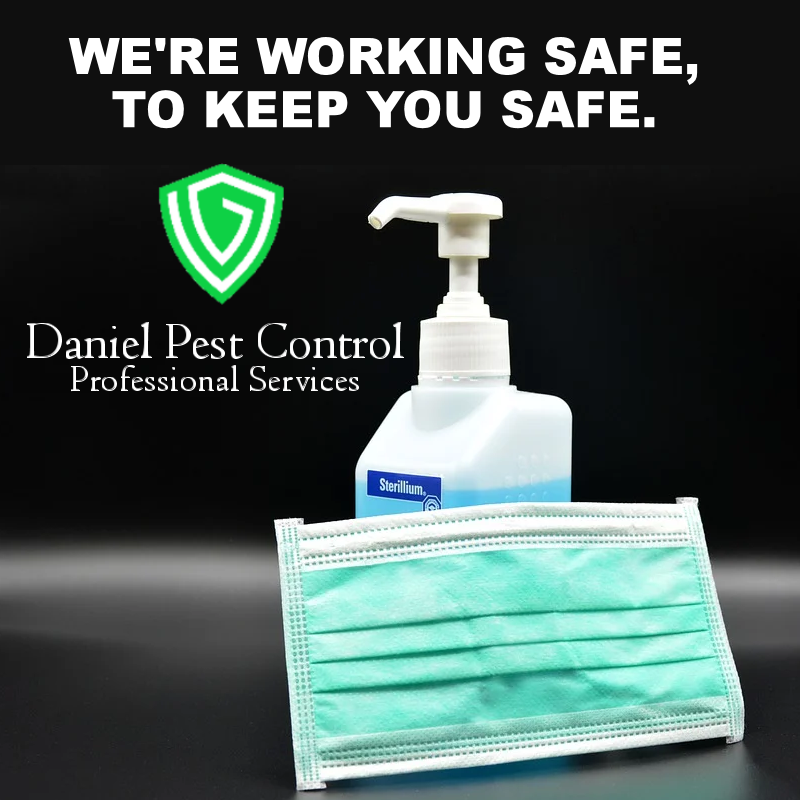 danlpest's tweet photo. Daniel Pest Control and Professional Services is going above and beyond with our cleaning, sanitizing, and social distance practices. We want our customers to feel comfortable and safe with our services and are working above and beyond minimum safety and sanitation requirements. https://t.co/QOoHAl7ZWL