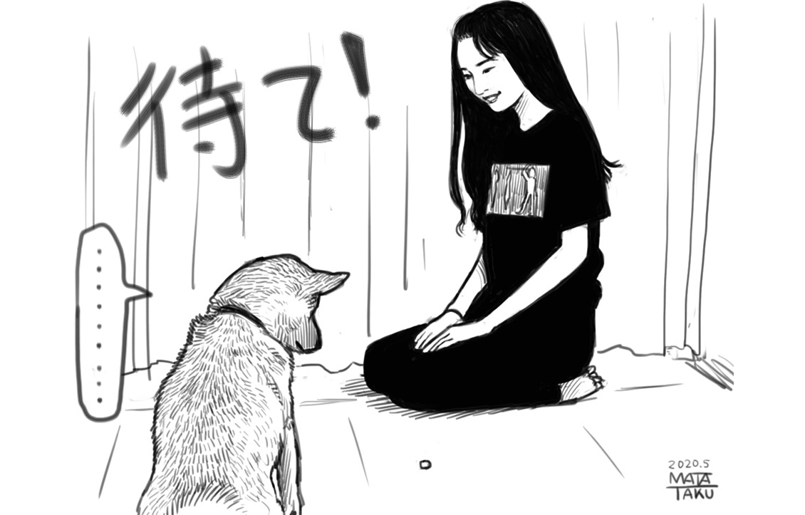 #farmertime 
#RINGOMUSUME
インスタにアップされてたJとふーたさんの、おすわり、おまわり、待てメドレー。めっちゃいいですね。特に待てのふーたさんの全く動かないエサへの視線がw とても気に入ったのでまた描かせていただきました。
うちの猫はそうはいかないですからね。
犬も猫もどっちも好き 