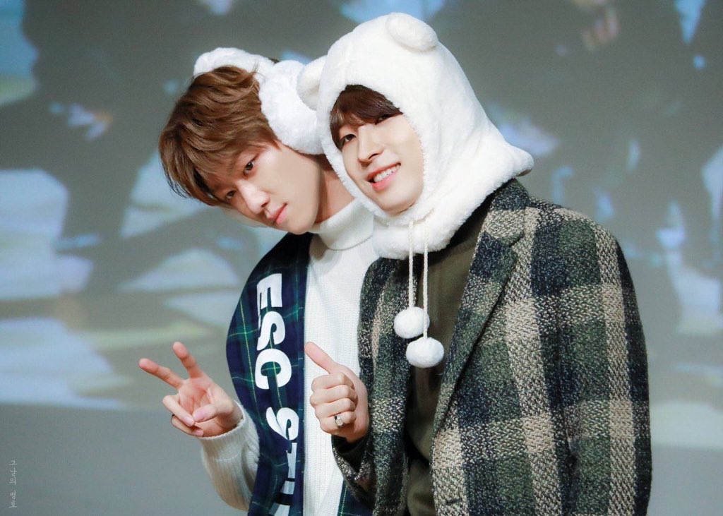 ウォヌハオ SEVENTEEN セブチ WONWOO ウォヌ アルバム SEVENTEEN セブチ