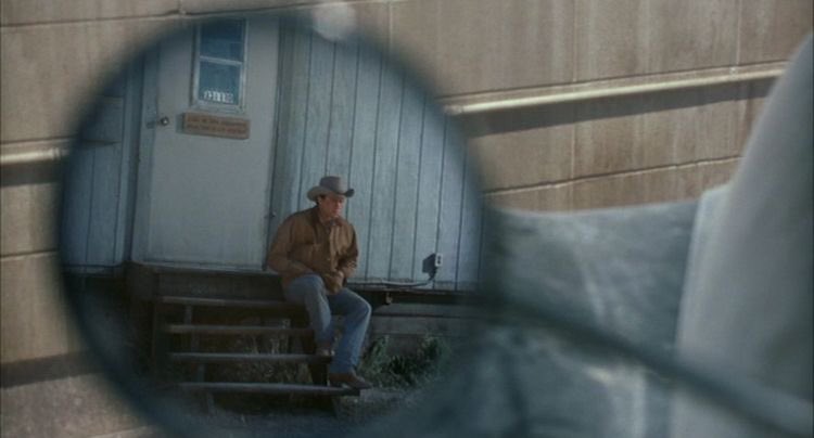 Brokeback Mountain (2005, Ang Lee)