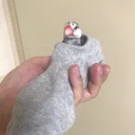 小さなかわいいF1レーサー!靴下に入ってるだけなのに!文鳥レーサー!