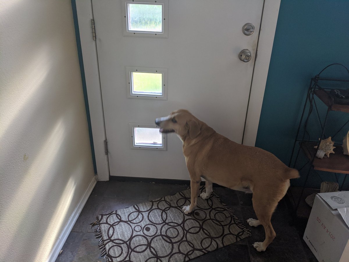 cblument's tweet image. Trying to get me to skip the #austindevops online Meetup this evening