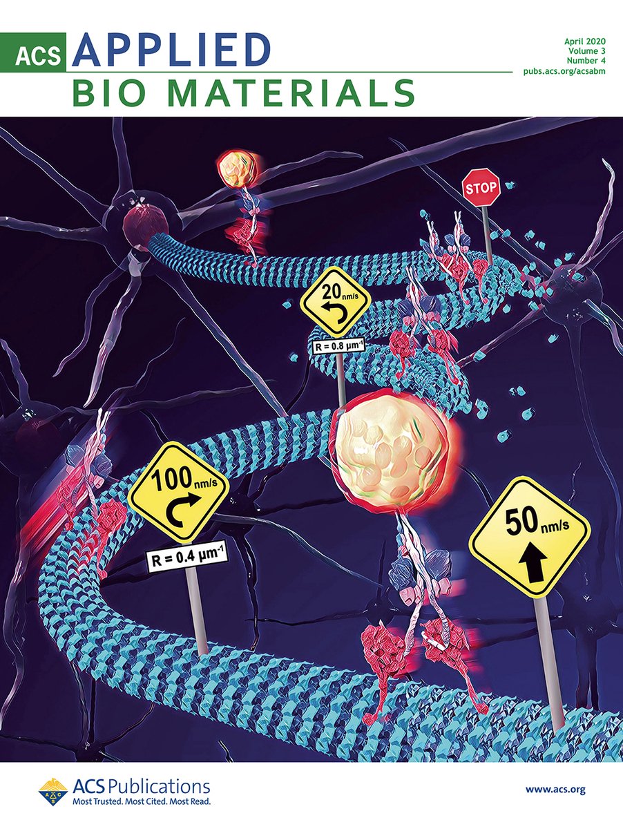 DInoueMT's tweet image. My artwork for the paper about #Dynein cargo transportation on a buckled #Microtubules is now on the cover of ACS Applied Bio Materials!
pubs.acs.org/toc/aabmcb/3/4
pubs.acs.org/doi/10.1021/ac…