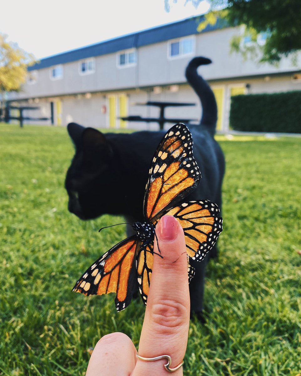 ~ Monday Mustang Motivation ~

Check out our Instagram for ways to stay motivated during the stay-at-home orders!!! 🦋💚