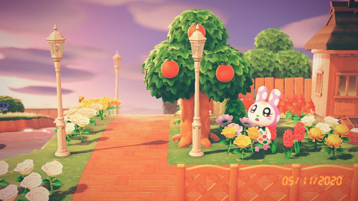 crossingdewdrop's tweet photo. ignore zuckers messy yard! look how cute chrissy is omg #AnimalCrossing #ACNH #NintendoSwitch https://t.co/SYC2tINhsF