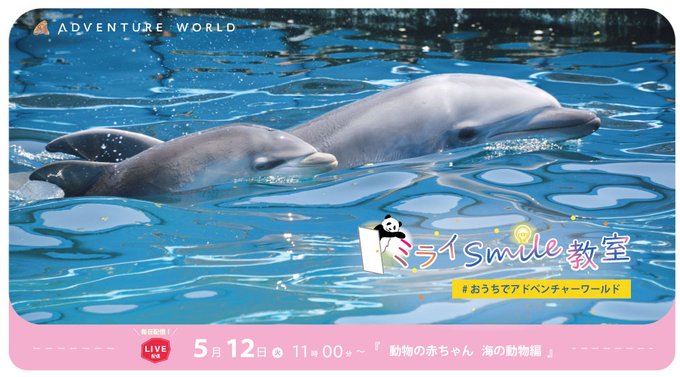 海の動物のtwitterイラスト検索結果