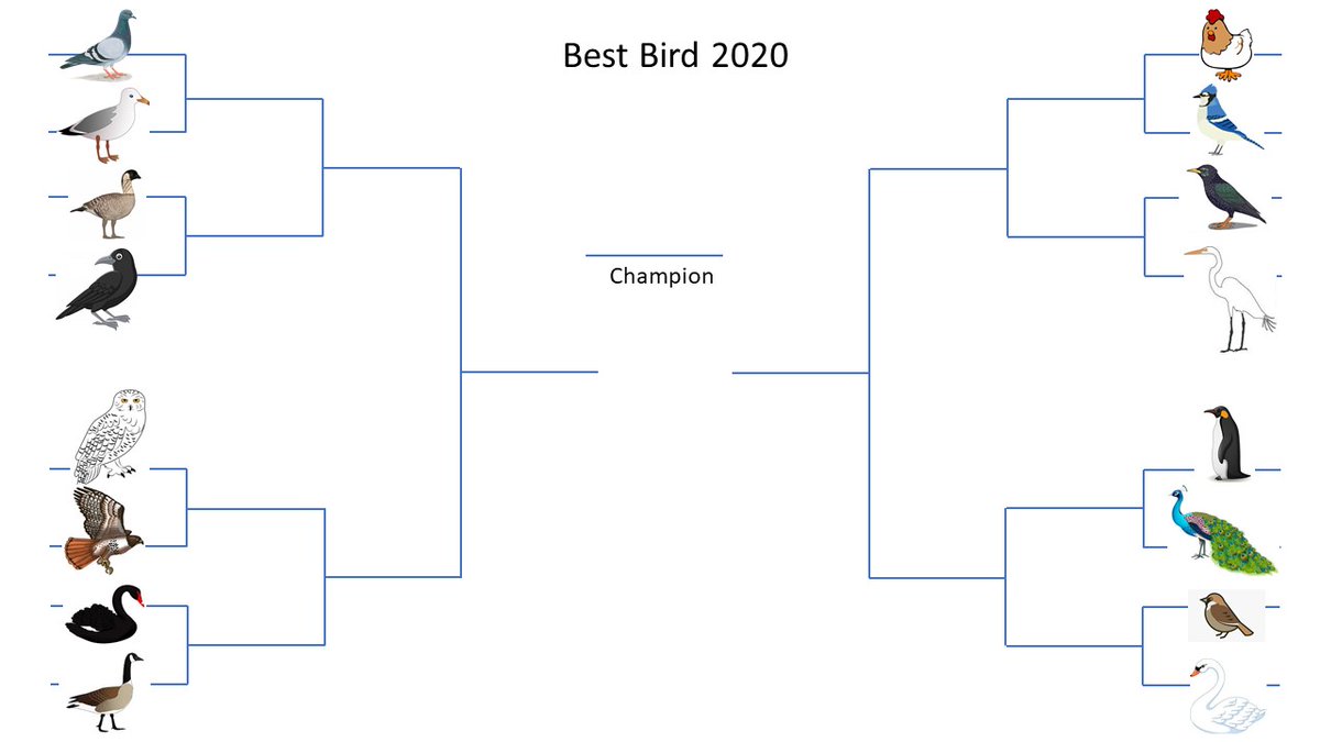 envchemjen's tweet photo. This summer the #murphygroup will be making a highly non-scientific determination of the best bird as a way of incorporating some time-wasting group bonding in the work-from-home experience. Each week, we will vote on one match-up - stay tuned! https://t.co/FsA0JjHz50