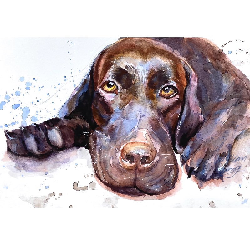 MrLucky_Artwork's tweet photo. Good morning everyone,🙏🙏🙏😊

#petpainting
#petart
#animalartist 
#custompetportrait
#natruelover
#dogpainting
#animalart
#Mrluckyartwork
#animalillustraions
#illustrationnow
#watercolor_guide
#watercolorbeginner
#choclatelab #lab https://t.co/b55dajey42