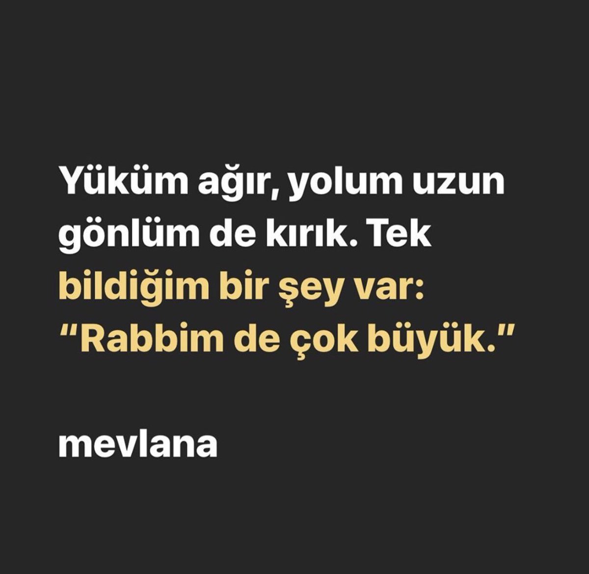 Onam eshakda sikiladi Endi yalangoch chiroyli braziliyalik ayollarning fotosuratlari