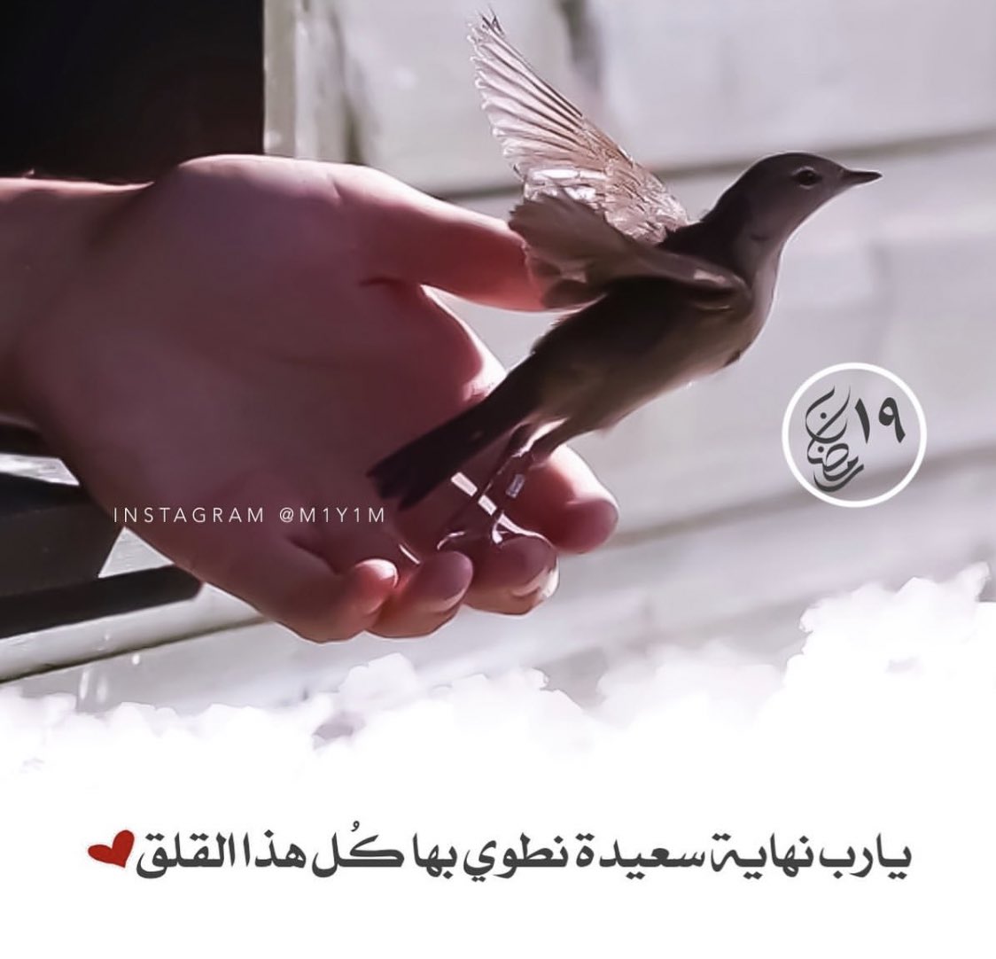 Ent__sh's tweet photo. ١٩ | رمضان 🌙

" بينما أنت تحارب قلقك، يحدث الأن تدبير لقلبك لو علمته لبكيت من شدة الفرح ".
-لأنه الله سيستجيب 🌿

#١٩_رمضان https://t.co/cW2Au2vdDE