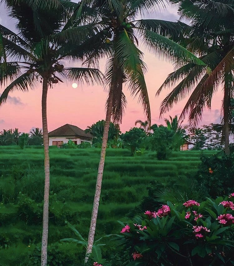 Ranbir kapoor as sunsets 