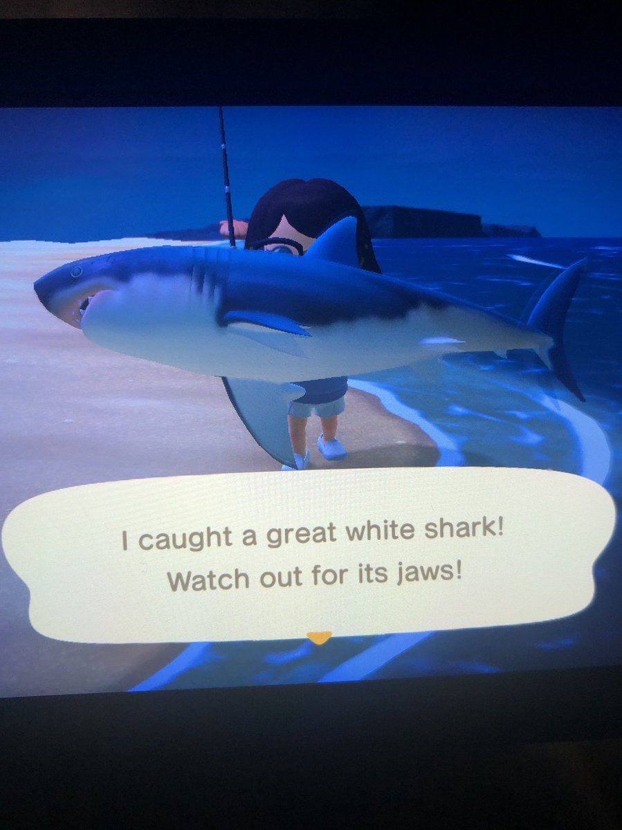 Acnhpandora on Twitter "Catching sharks at my island!! So far tonight
