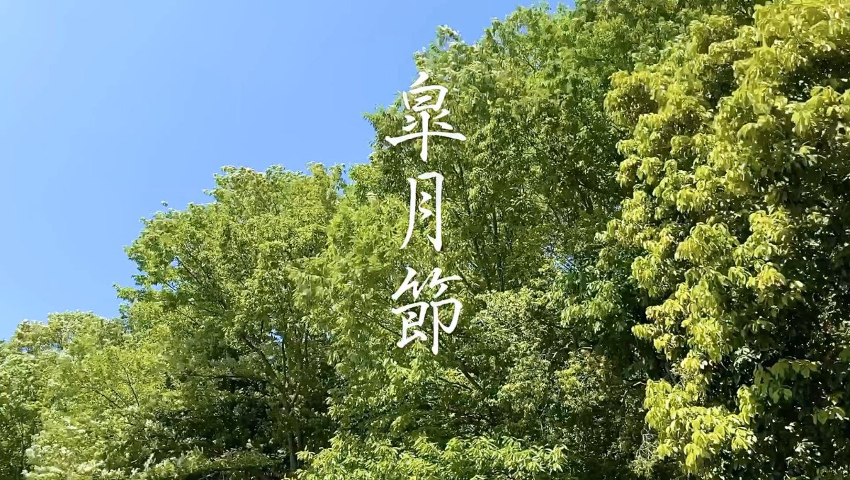 東京月桃三味線 皐月 さつき 月の満ち欠けの周期を基準にした大陰暦 和暦 太陰太陽暦 旧暦 では 5月の事を 皐月 さつき といいます 皐月は 耕作を意味する さ から 稲作の月として さつき になりました 漢字 皐 には神に捧げる稲