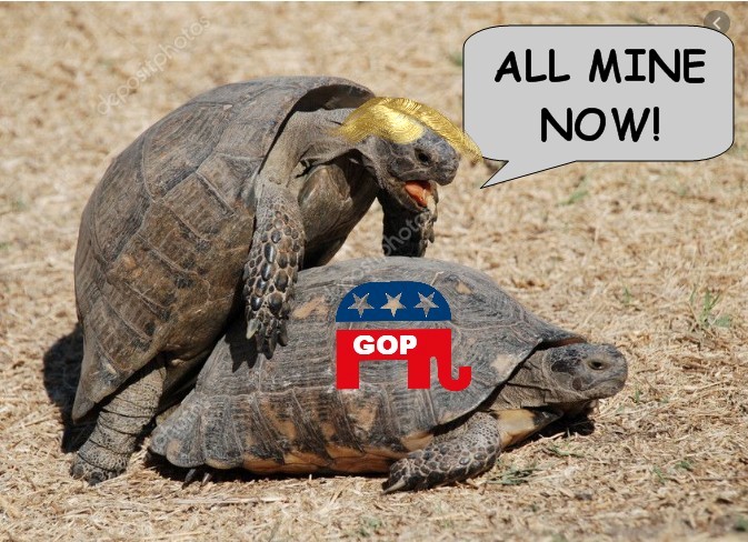 C4YerSelf's tweet photo. @thehill #GOP seems happy with Trump... https://t.co/8FsUqHbGOw