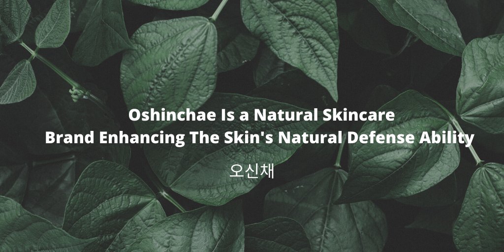 dohbio's tweet photo. #Oshinchae means 5 types of wild herbs: 
✔#wildchive #달래, 
✔#garlic #마늘, 
✔#chive #부추
✔#scallion #파 
✔#흥거 / Unlike the other 4 there's a controversy on what exactly it is. Some say it is a vegetable similar to a #radish, some say #Scillascilloides.  #금지식물 #불교 https://t.co/luZIIC4bDU