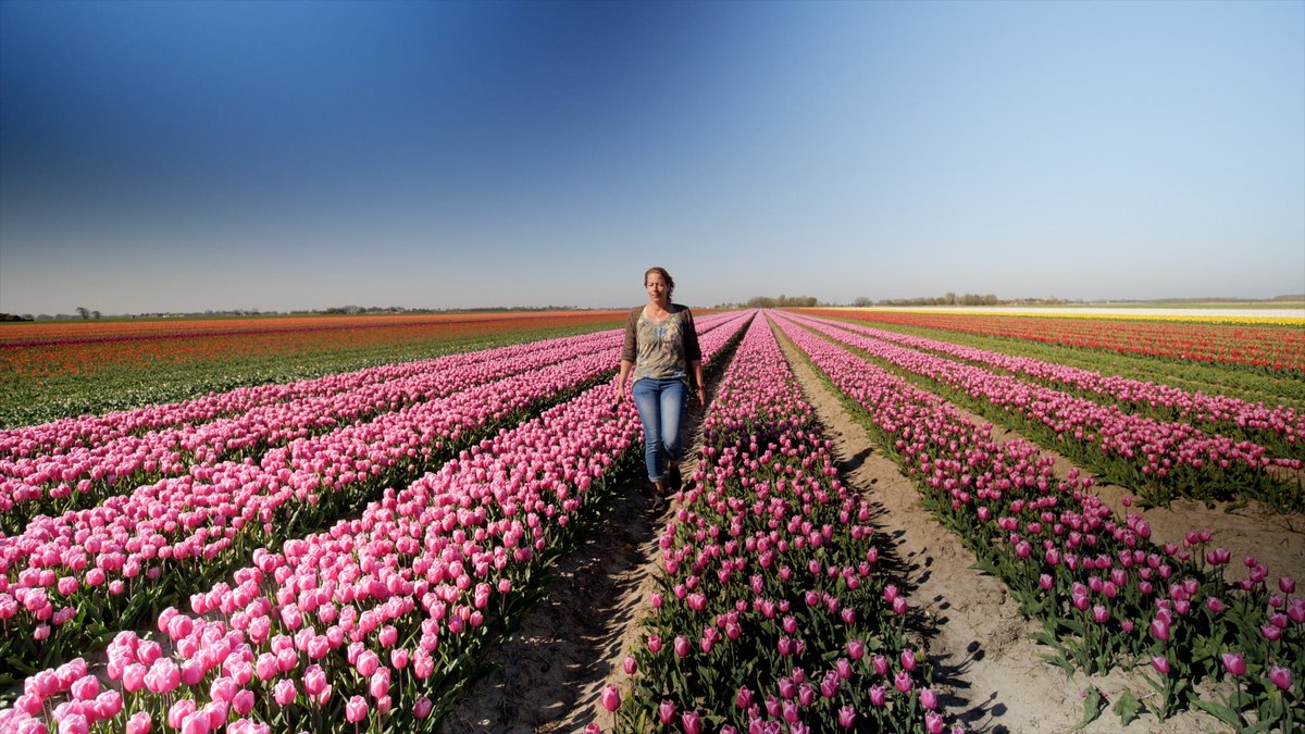 #Muziek verbindt, muziek is emotie. Op #dedagvandezorg #dagvanderverpleging #12mei zingt <a href="/jokearends/">Joke Arends</a> "Samen maken we De Hoven". 

dehoven.nl/nieuws/2020/vi…