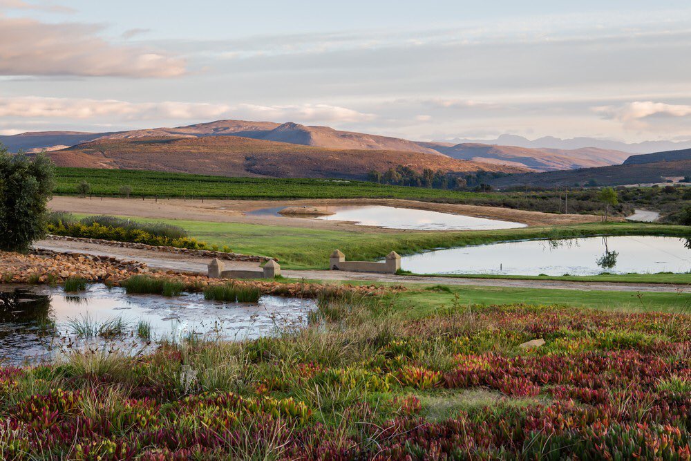 It’s #day12 of #MayIRecommendA2Z and our first local shout out for ‘l’

👍#lordswines #McGregor 
#SouthAfrica 
<a href="/LordsWines/">Lord's Wines</a> 

✅panoramic views 
✅guest accommodation
✅meals 
✅award winning wines (my fav the mcc brut rose)
✅function venue 

<a href="/journiesofalife/">Journeys of a Lifetime</a> <a href="/live4sights/">World Explorer on eX and Bluesky</a>