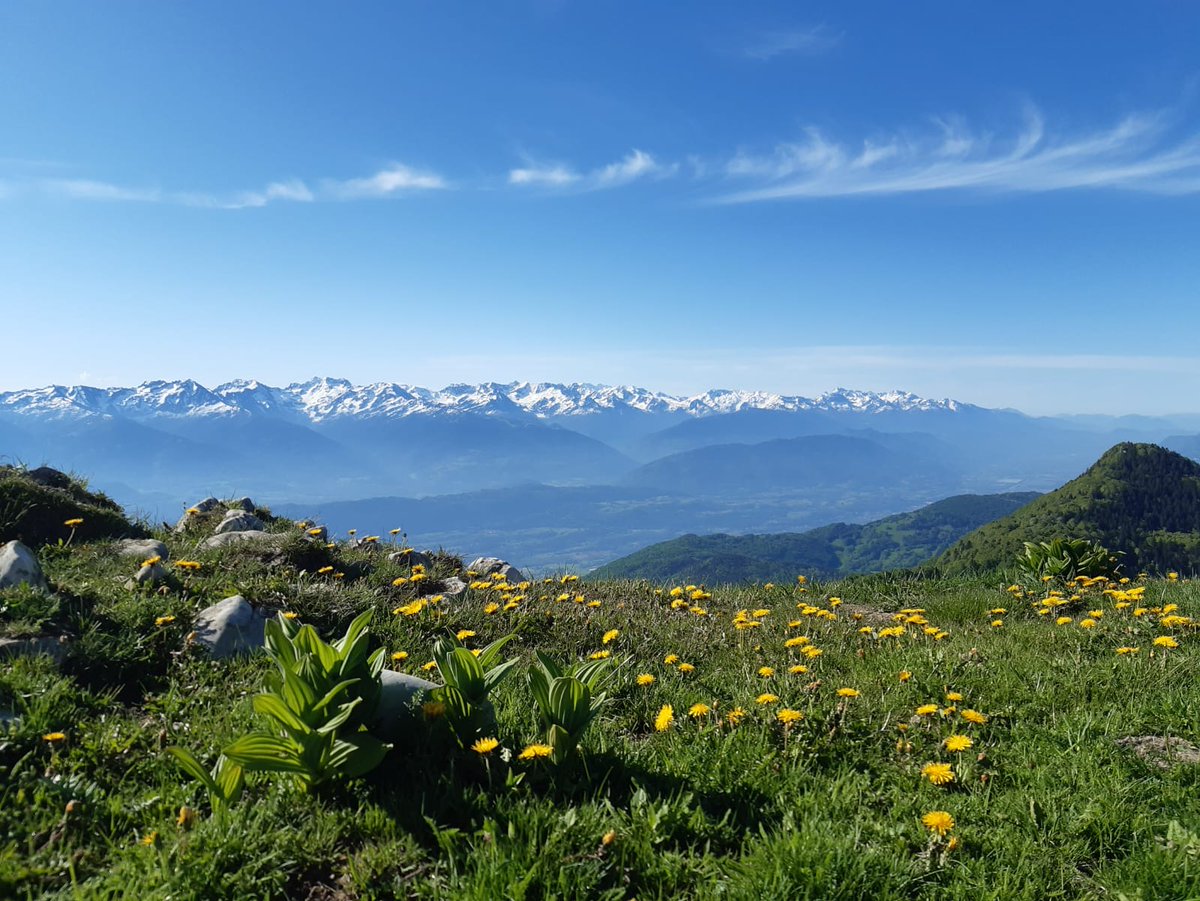 Une question sur le #Deconfinement pour les amoureux de la #montagne ? 
On a rassemblé les informations principales ici : 
france-montagnes.com/webzine/evenem…