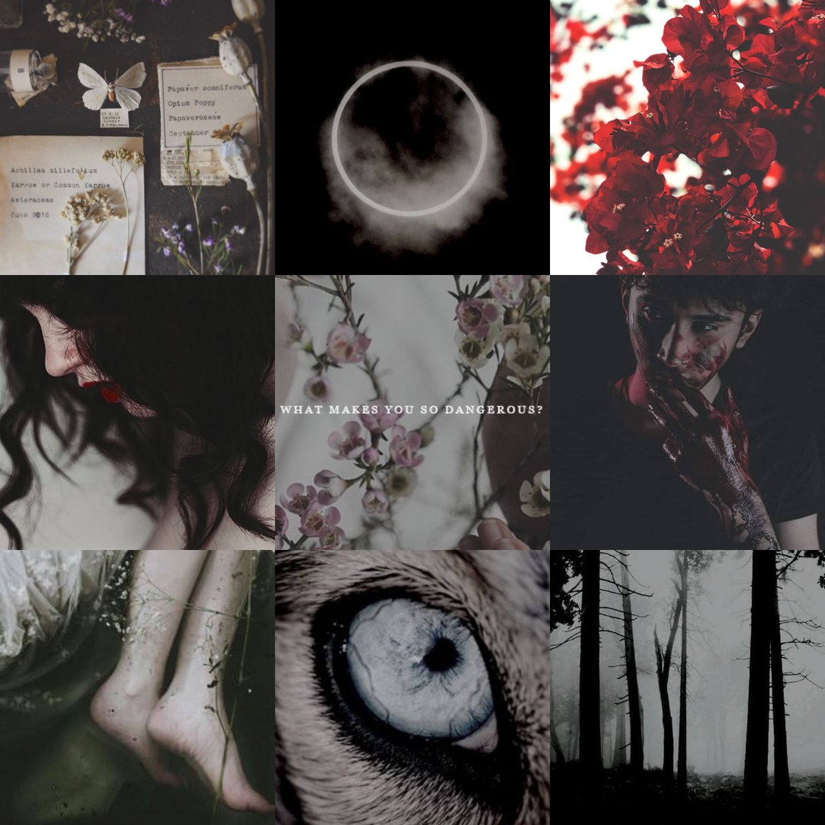 SouffleLumiere's tweet photo. I'm on the hunt for a Jack-of-All- CPs. A fellow soul w/ a love of stars/magic/forbidden places, but above all, someone I can TRUST. Projects: a mix of upper YA & lower Adult SFF w/ dark themes & lyrical style. Are the pantser to my plotter? #CPMatch #CPSearch https://t.co/bIZ2msJhKH