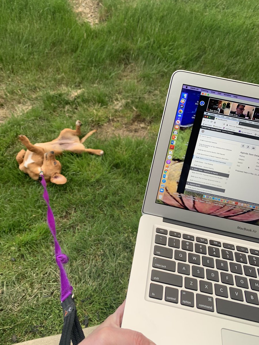 This guy has a lot to learn about virtual meeting decorum. 🤦🏻‍♀️😂