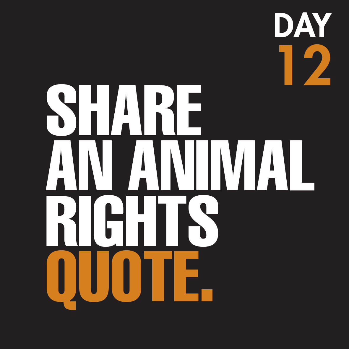 TheSaveMovemen1's tweet image. Will you take the challenge? Day12
 #foodsystemchange #switchtoplantbased  #nomeatmay