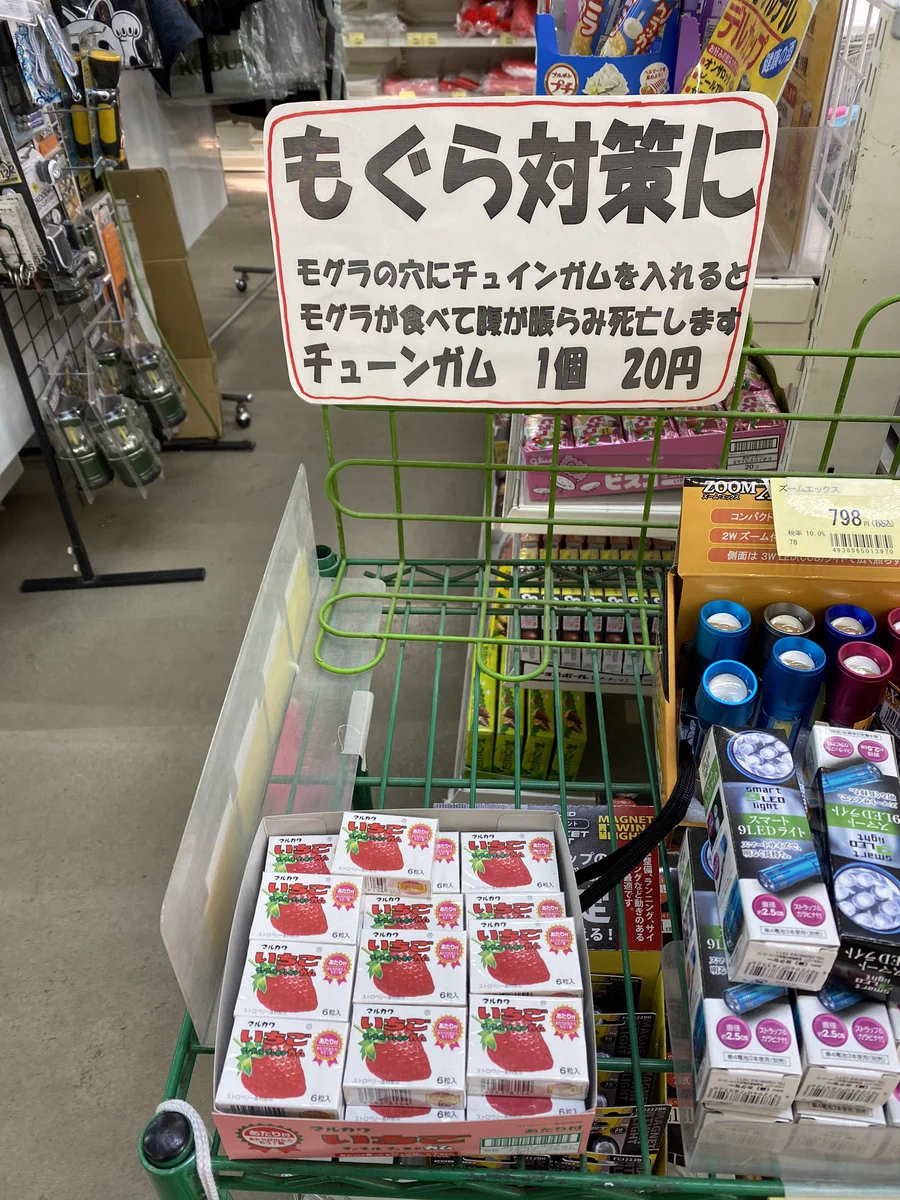 ガムにこんな使い方があったとは！？モグラ対策にガムがピッタリwww