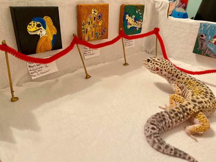 valvavisco's tweet photo. VEAN LO QUE LE HIZO ESTE NIÑO A SU LAGARTO LEO, su Ig es @artsyfartsysquid https://t.co/IUfYbTSeAD
