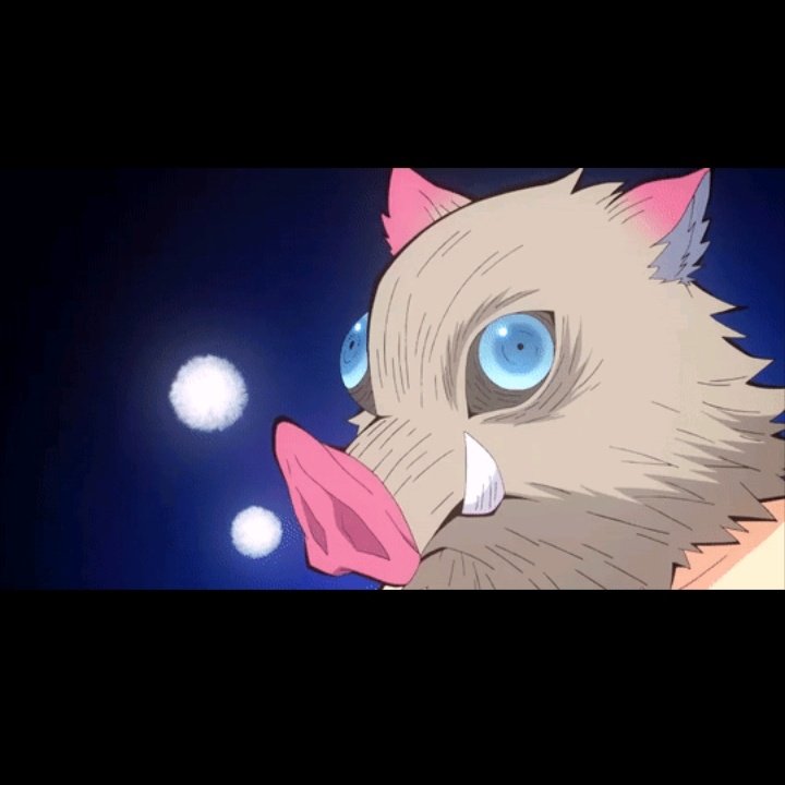 Cutie Inosuke he does *the thing*