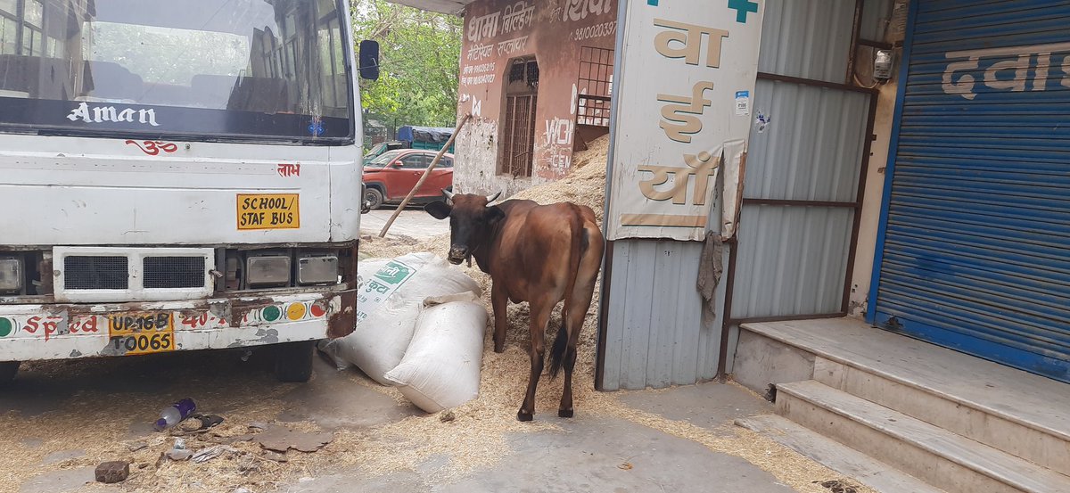 Invisible Indian (InvisibleIndia1) Twitter