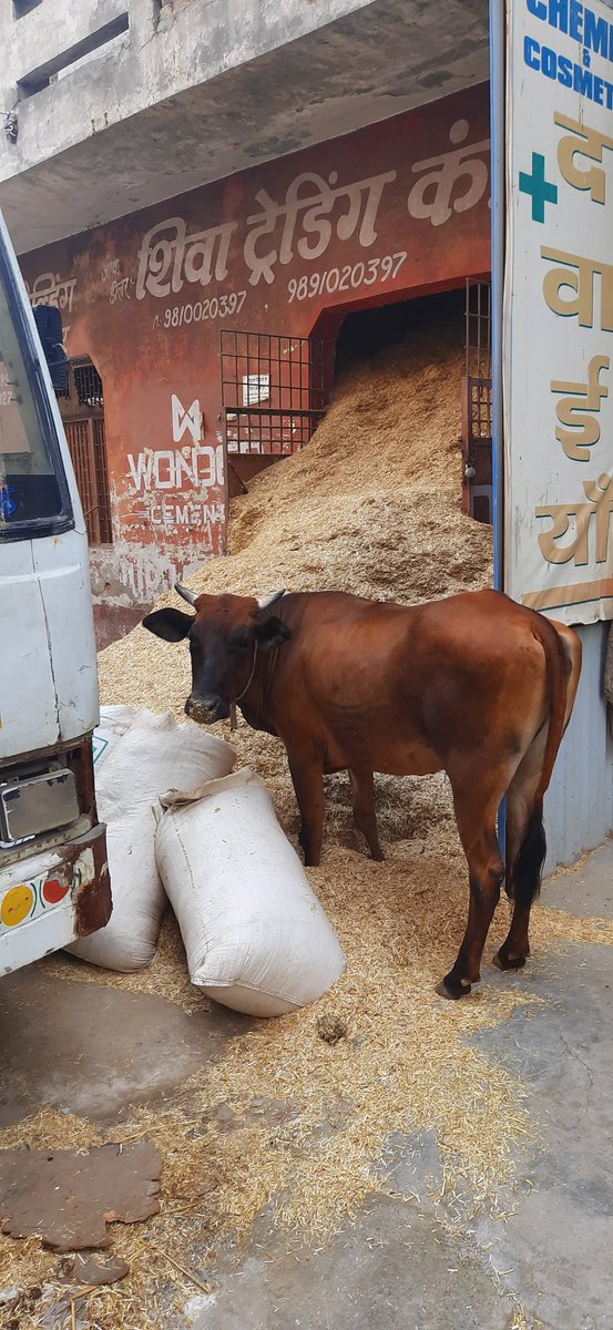 Invisible Indian (InvisibleIndia1) Twitter