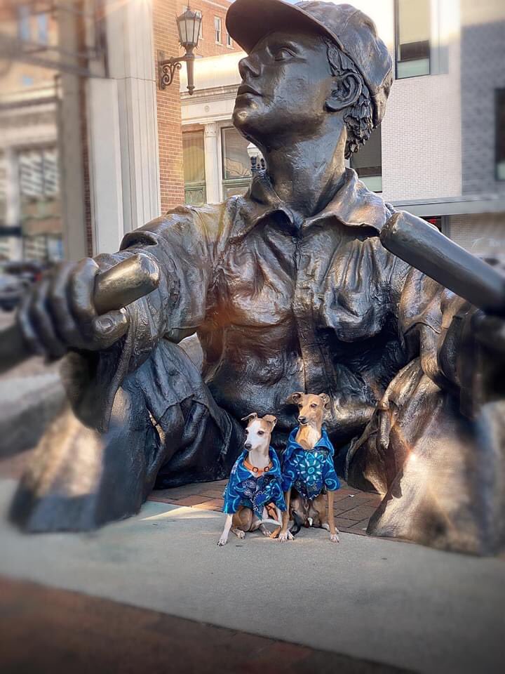 SummerAndMoose's tweet photo. #DowntownKnoxville #Knoxville #VisitKnoxville #ManInTheBoat #GayStreet #KnoxvilleArt https://t.co/w7sY4xwrch