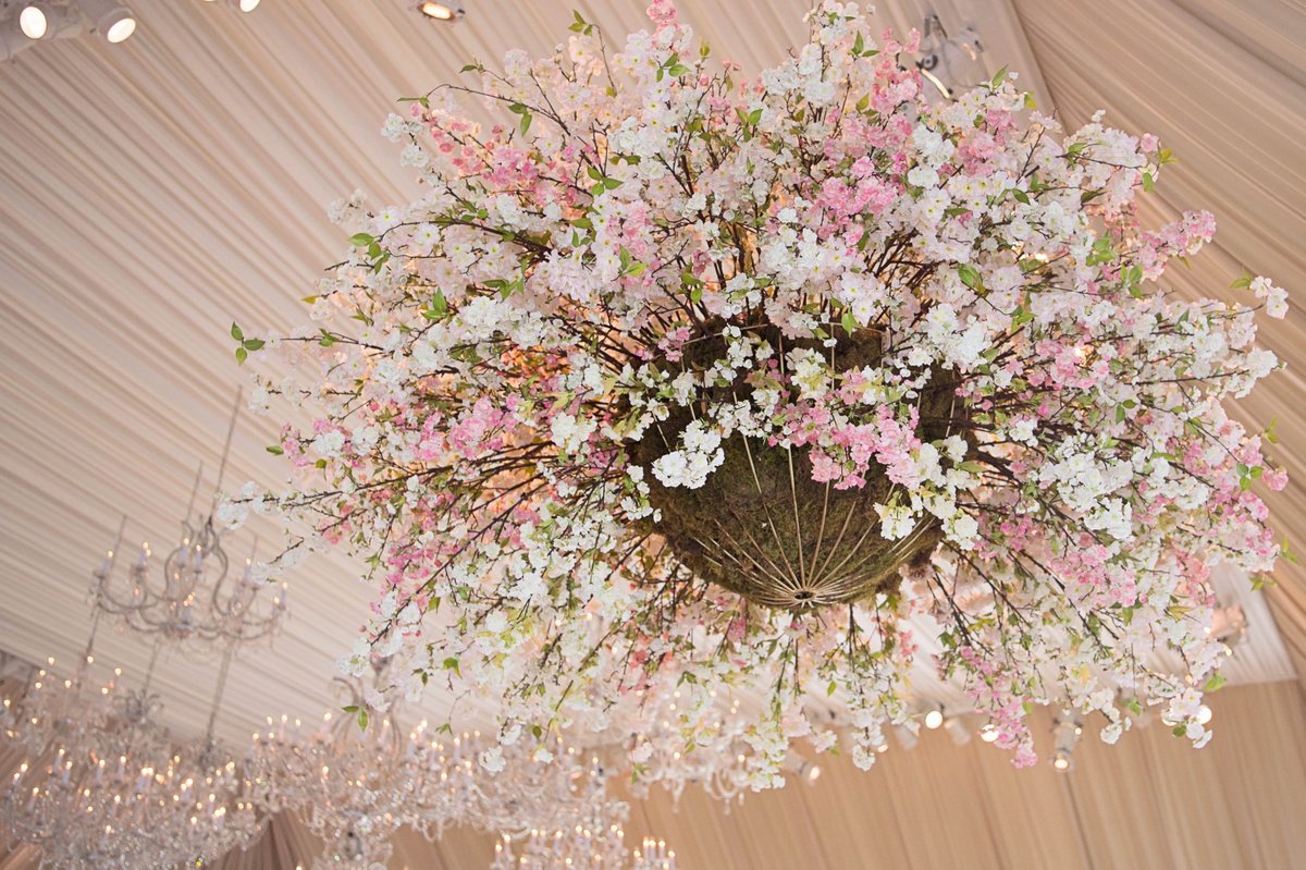 HMR_Designs's tweet photo. Blushing cherry blossoms and billowing fabrics add elegant, elevated focals to this tented reception design. Swipe for detail! π | @HMRDesigns #birchdesignstudio @FrostChicago πΈ @carascophoto https://t.co/HDYcOOhC8K