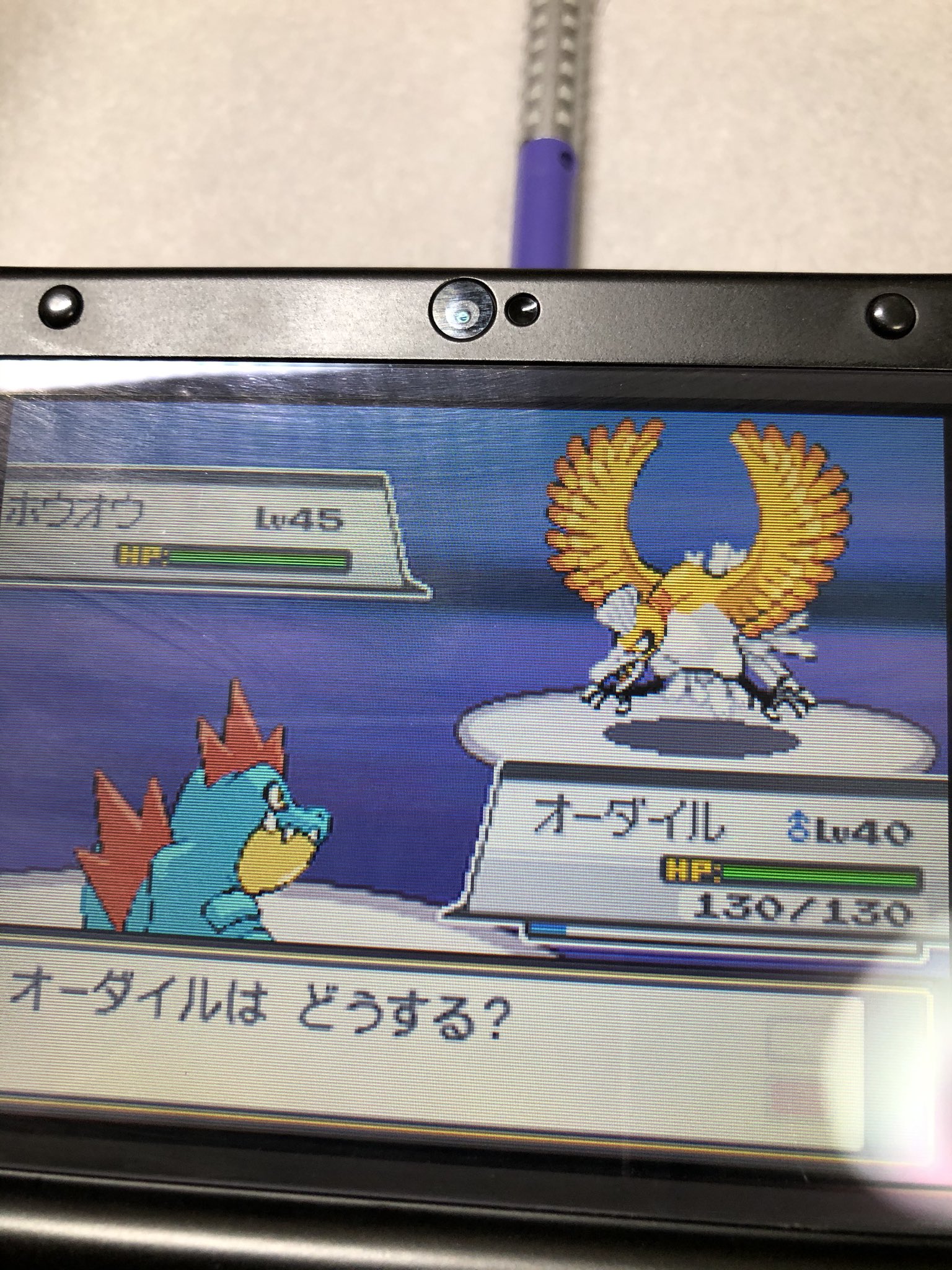 セイウチ 自粛期間中に先週中古でポケモンハートゴールド買って 暇だしホウオウ色厳選するかってやってたら 38回目で色違い来ました この世代て何分の1だっけ T Co 4ahoocxcee Twitter