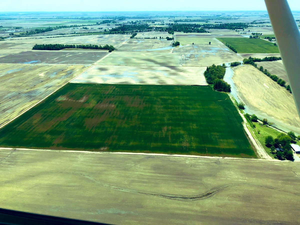 Brent_gerke's tweet photo. -“Can you help me look at satellite imagery of my wheat field?” 
-“Sure, what are we looking for?” 
-“Wanting to see if it matches the pictures from the airplane....” https://t.co/gr6CN5TXwG