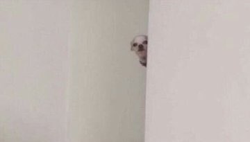 arainbowinsky's tweet image. 