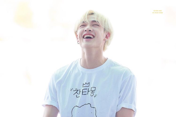 ♡ day 130 of 365 ♡the brightest smile —  @Stray_Kids  #방찬