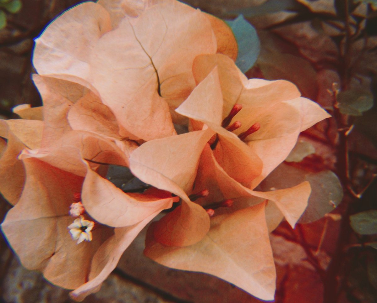 NCTMark_Flowers's tweet photo. 𝓨𝓸𝓾 𝓶𝓪𝓴𝓮 𝓶𝔂 𝓵𝓲𝓯𝓮 𝓫𝓮𝓽𝓽𝓮𝓻 𝓮𝓿𝓮𝓻𝔂𝓭𝓪𝔂... 

#MARK #MARKLEE #마크 #NCT127 #NCT127_Punch https://t.co/xgTs3FgxmD